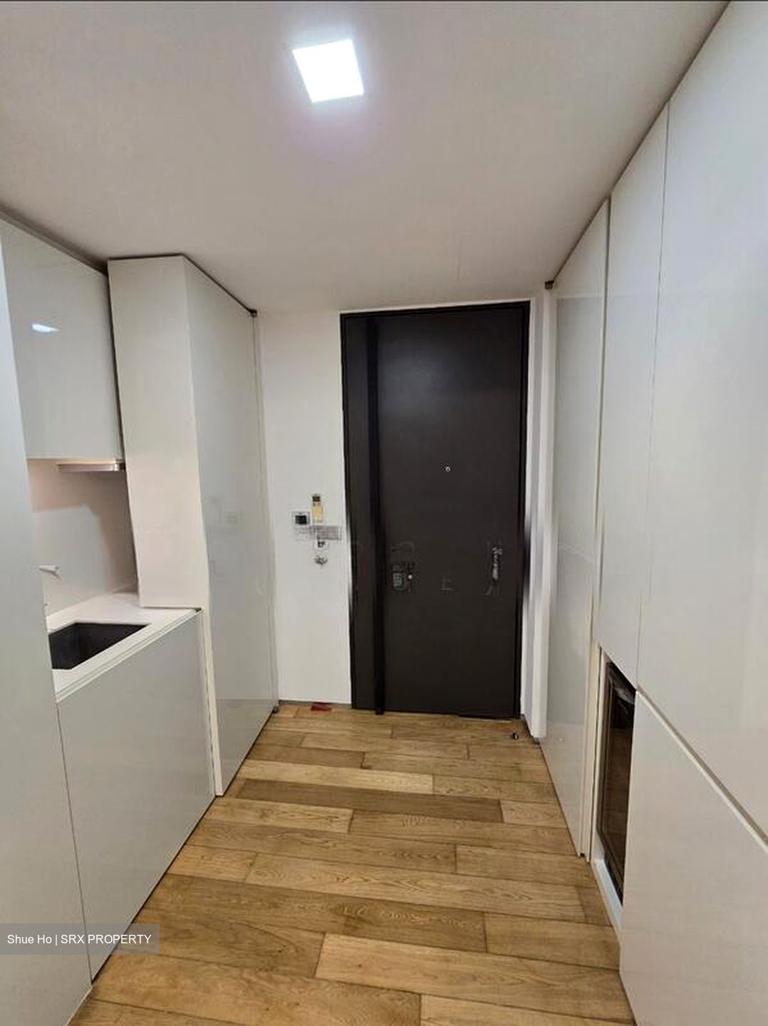 Skysuites@Anson (D2), Apartment #511025891